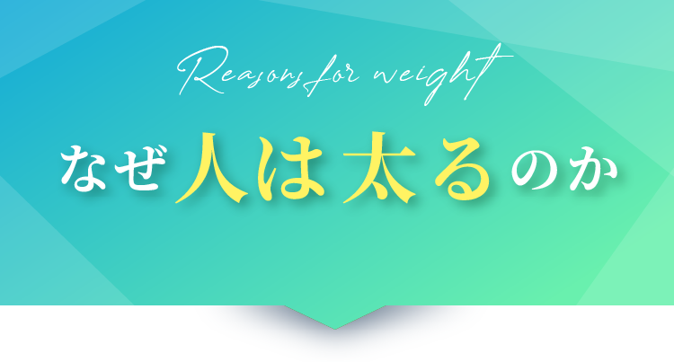 なぜ人は太るのか