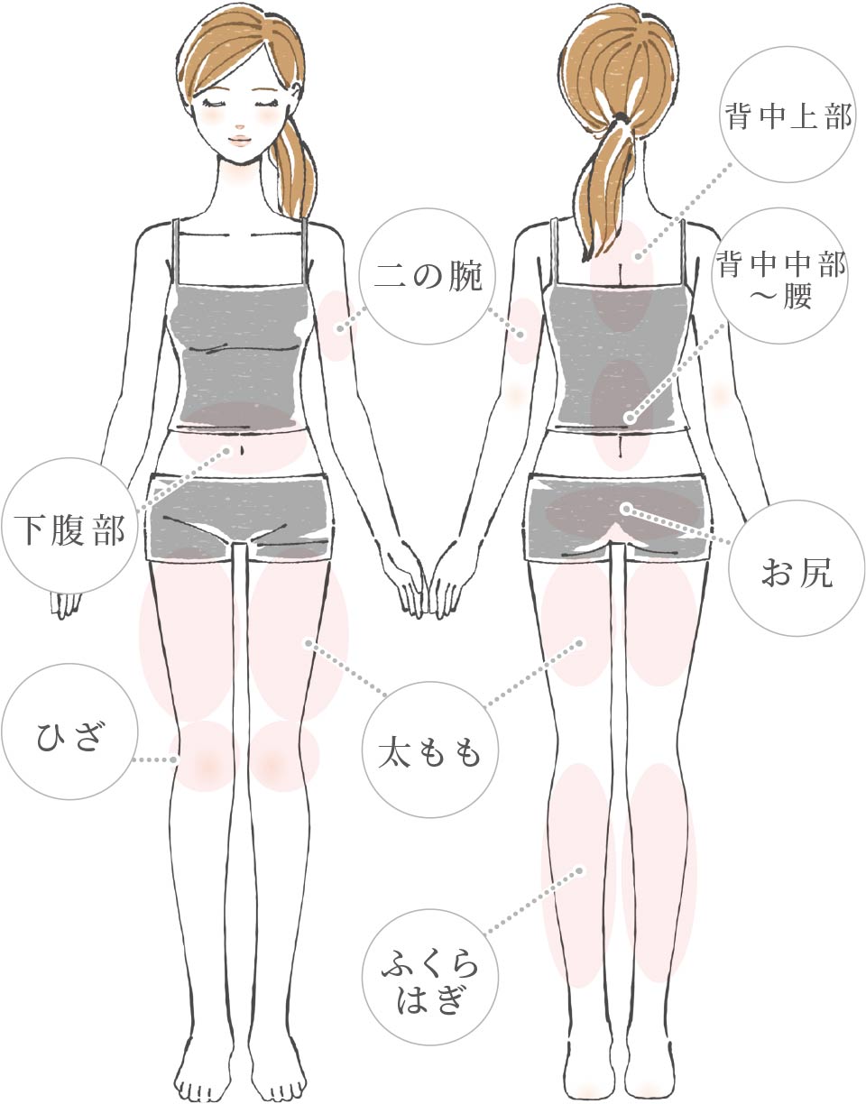 施術対象部位